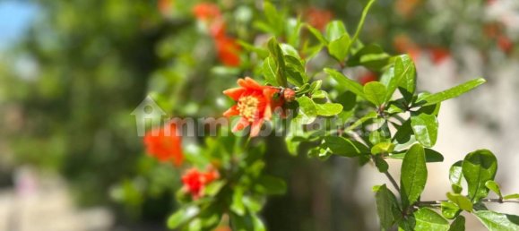 2 bedrooms Villa in Lecce, Italy No. 282873 24