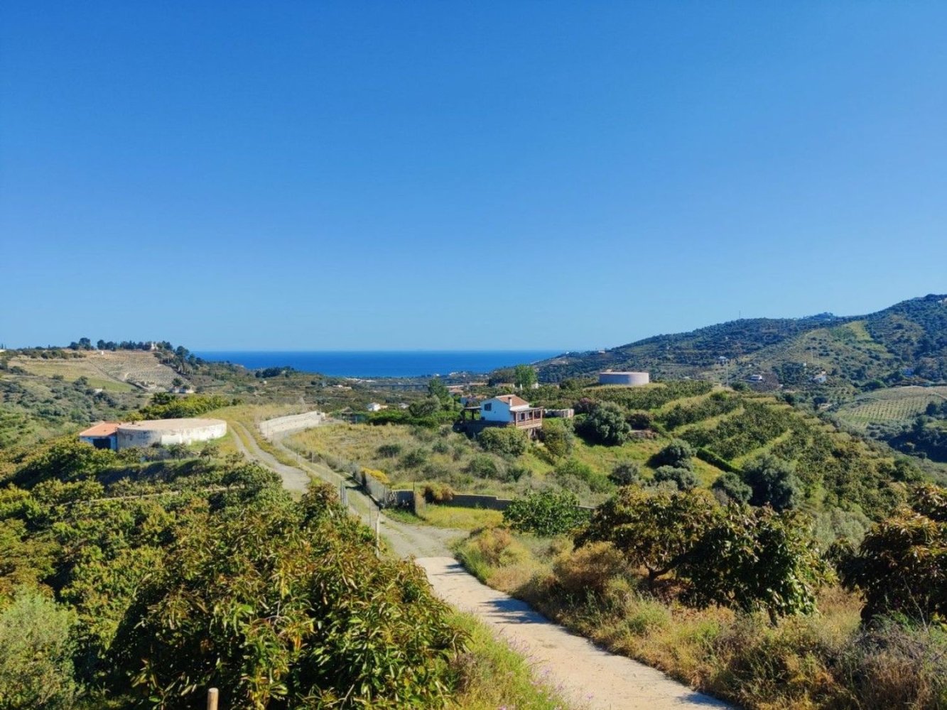 20000m² Land in Frigiliana, Spain No. 153121