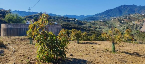 20000m² Land in Frigiliana, Spain No. 153121 8