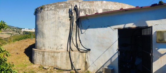 20000m² Land in Frigiliana, Spain No. 153121 5