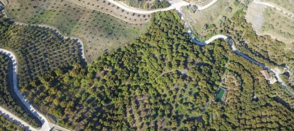 20000m² Land in Frigiliana, Spain No. 153121 4