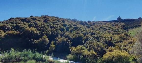 20000m² Land in Frigiliana, Spain No. 153121 6