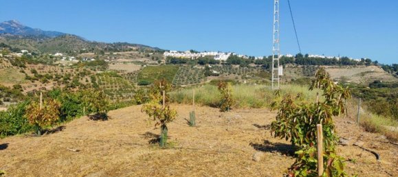 20000m² Land in Frigiliana, Spain No. 153121 10