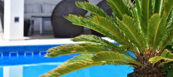 4 chambres Villa à Marbella, Spain No. 101746 4