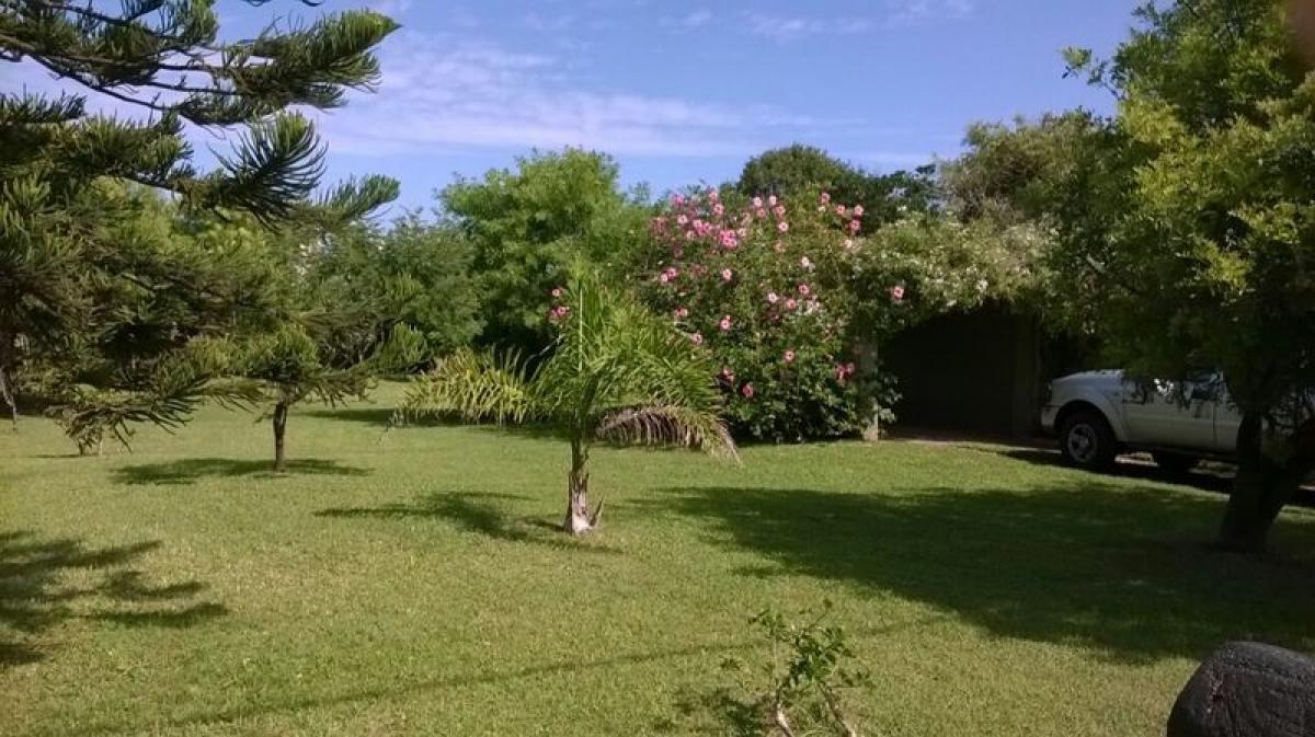 3 bedrooms House in Olavarria, Argentina No. 11136