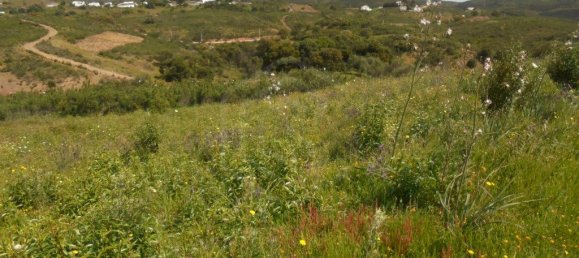 Terrain à Tavira, Portugal 3600m² No. 61520 8