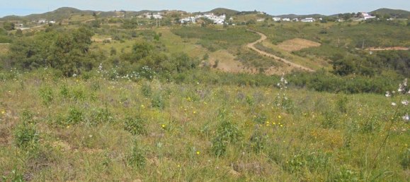 Terrain à Tavira, Portugal 3600m² No. 61520 6