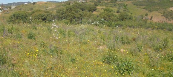 Terrain à Tavira, Portugal 3600m² No. 61520 9