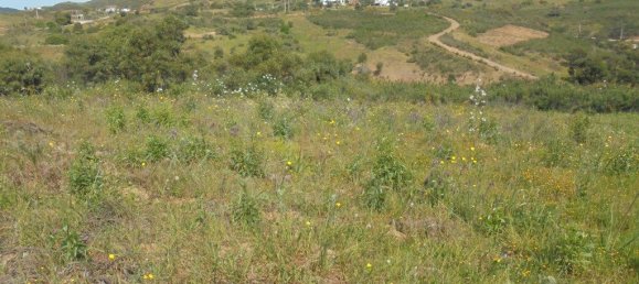 Terrain à Tavira, Portugal 3600m² No. 61520 4