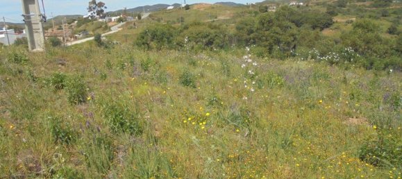 Terrain à Tavira, Portugal 3600m² No. 61520 10