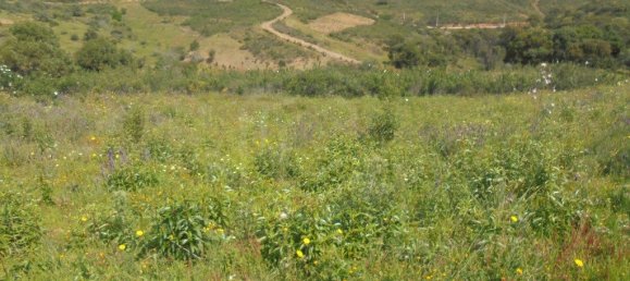 Terrain à Tavira, Portugal 3600m² No. 61520 7