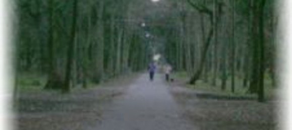 Ático de 5 habitaciónes en Viareggio, Italy No. 38870 18