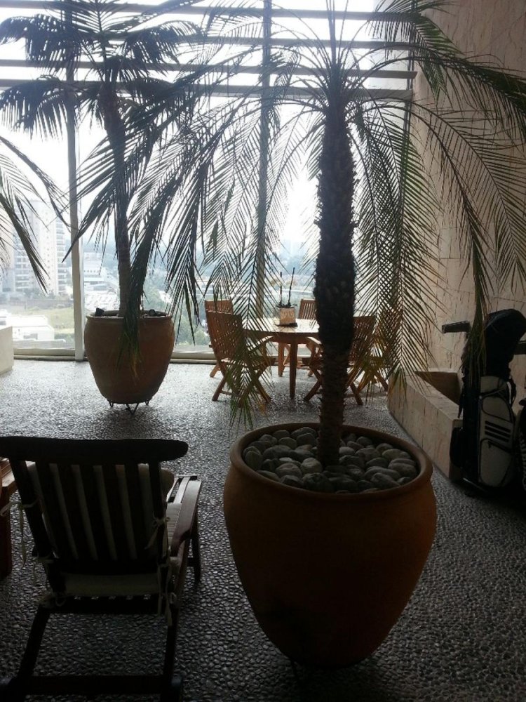 3 chambres appartement à vendre à Mexico № 215423