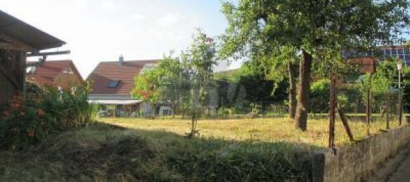 6 rooms House in Breisgau-Hochschwarzwald, Germany No. 367520 4