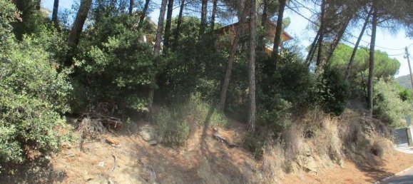 Земельный участок 1458м² в Досриус, Испания № 157198 7