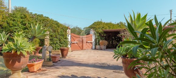 4 rooms Villa in Pula, Italy No. 106336 26