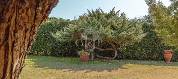 4 rooms Villa in Pula, Italy No. 106336 28