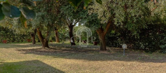 4 rooms Villa in Pula, Italy No. 106336 30