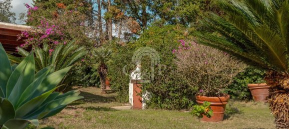 4 rooms Villa in Pula, Italy No. 106336 29