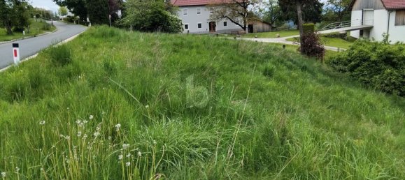 Земельный участок 834м² в Гриффен, Австрия № 230683 5