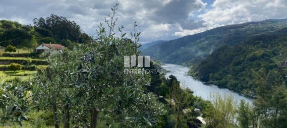 قطعة أرض في Marco de Canaveses, Portugal 6000متر مربع رقم 51604 29