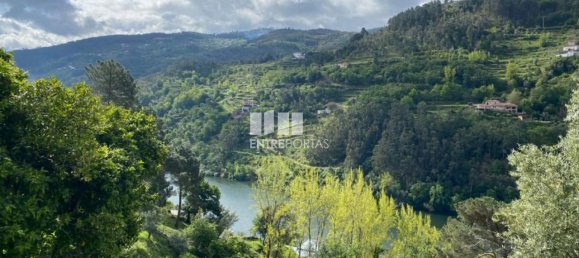 قطعة أرض في Marco de Canaveses, Portugal 6000متر مربع رقم 51604 10