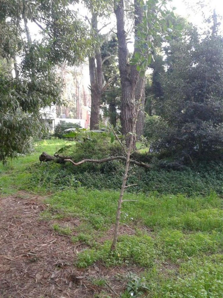  Land in Mar del Plata, Argentina No. 115057