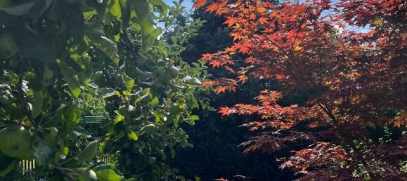 Casa de 6 divisões em Wartburgkreis, Germany N.º 285460 18