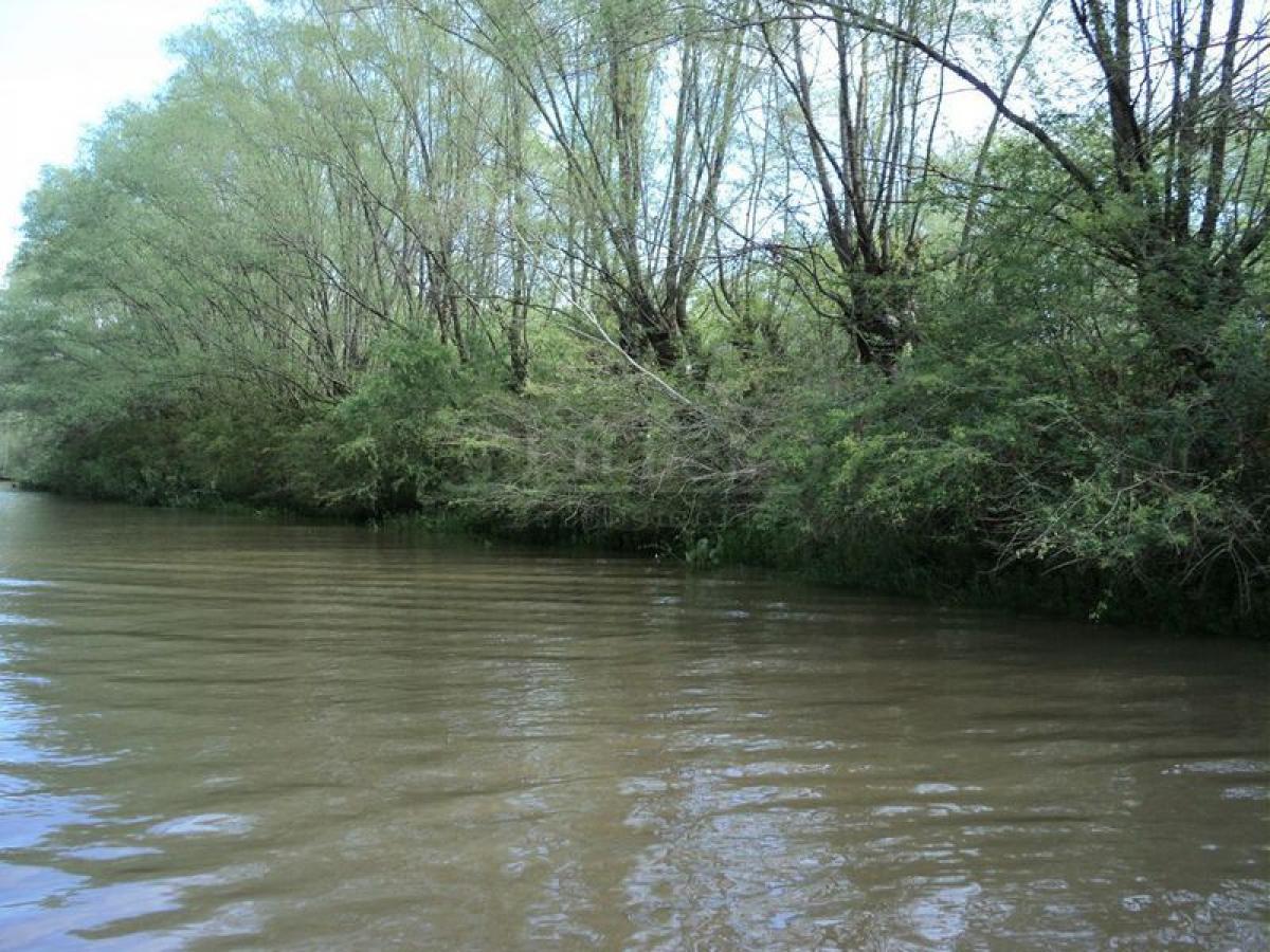  Land in Tigre, Argentina No. 40301