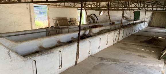 3 Schlafzimmer Haus in Mijas, Spain, Nr. 53528 32