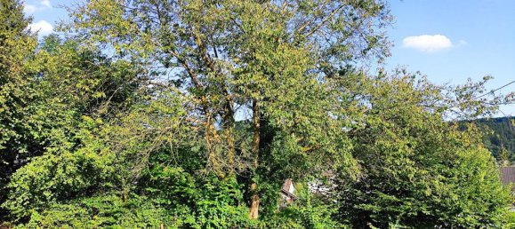 Terreno em Oberbergischer, Germany N.º 262957 9