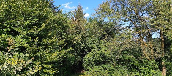 Terreno em Oberbergischer, Germany N.º 262957 10