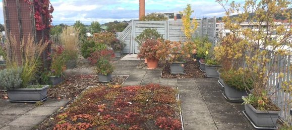 2 Schlafzimmer Wohnung in Emmendingen, Germany, Nr. 32665 19