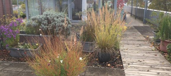 2 Schlafzimmer Wohnung in Emmendingen, Germany, Nr. 32665 18