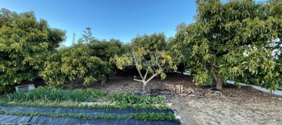 3 bedrooms House in Nerja, Spain No. 145920 36