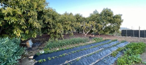 3 bedrooms House in Nerja, Spain No. 145920 39