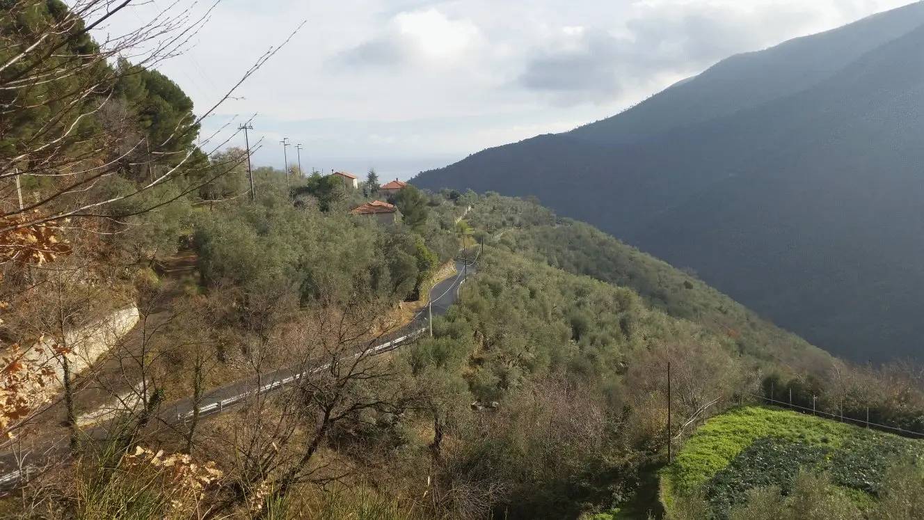 Grundstück in Balestrino, Italy 2400m², Nr. 84248