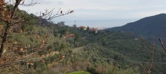 Grundstück in Balestrino, Italy 2400m², Nr. 84248 4