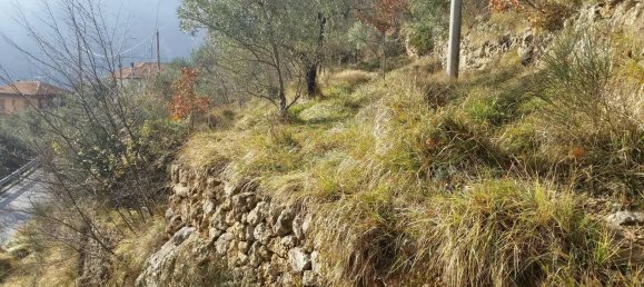 Grundstück in Balestrino, Italy 2400m², Nr. 84248 6