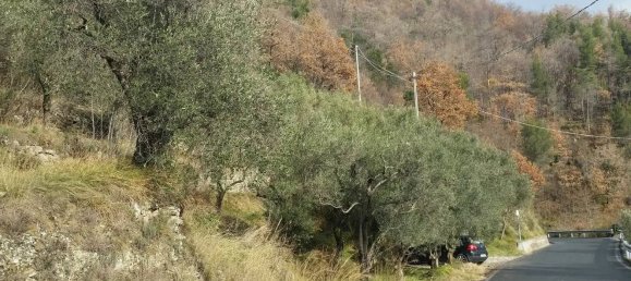 Grundstück in Balestrino, Italy 2400m², Nr. 84248 2