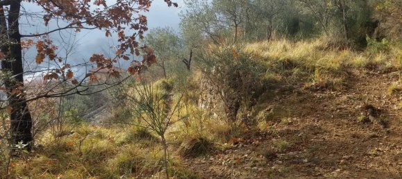 Grundstück in Balestrino, Italy 2400m², Nr. 84248 5