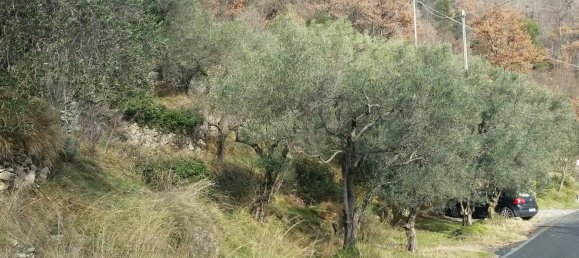 Grundstück in Balestrino, Italy 2400m², Nr. 84248 3