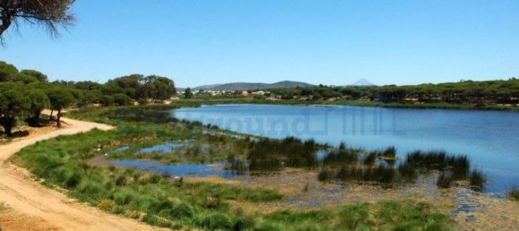 Grundstück in Quarteira, Portugal 11943m², Nr. 338177 11