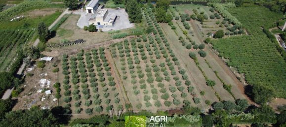 19790m² Land in Sermoneta, Italy No. 287467 5