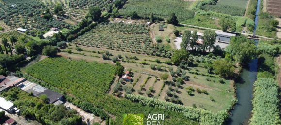 19790m² Land in Sermoneta, Italy No. 287467 6