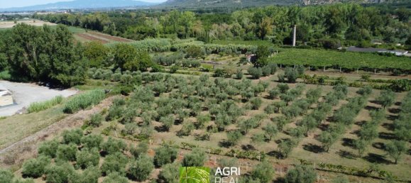 19790m² Land in Sermoneta, Italy No. 287467 9