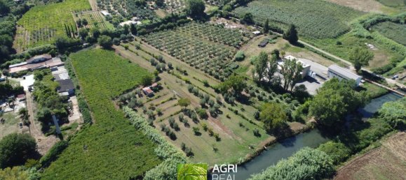 19790m² Land in Sermoneta, Italy No. 287467 2