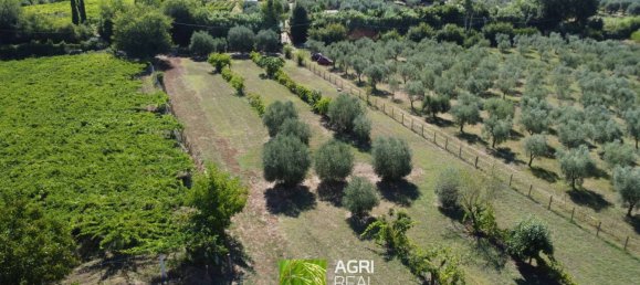 19790m² Land in Sermoneta, Italy No. 287467 10