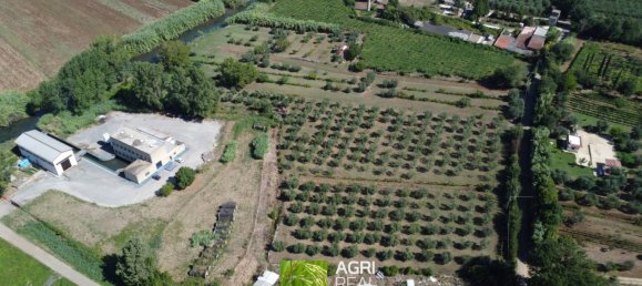 19790m² Land in Sermoneta, Italy No. 287467 4