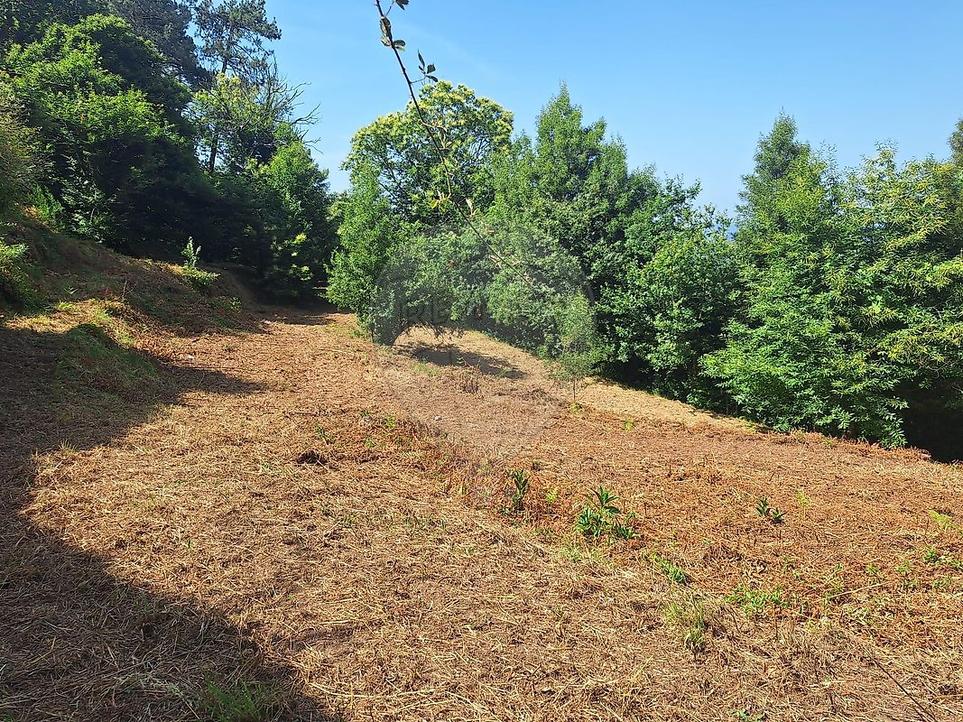  Land in Gondarem, Portugal No. 202840